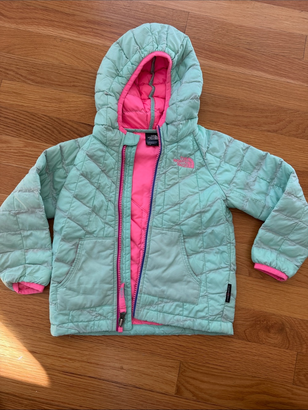 The North Face Mint Hooded Puffer Jacket with Pink Lining
